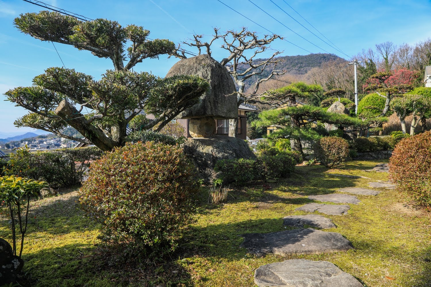 遊月の写真 26